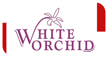 White Orchid